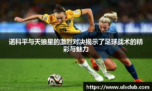 诺科平与天狼星的激烈对决揭示了足球战术的精彩与魅力