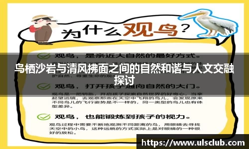 鸟栖沙岩与清风拂面之间的自然和谐与人文交融探讨